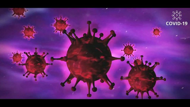 Second Wave of Coronavirus in USA - corono2020.com -Second Wave of Covid 19 in United States