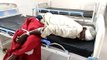 इटावा में मानवता हुई शमर्सार, उपचार करने के लिए मरीज को बांधकर किया जा रहा उसका उपचार