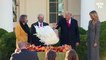 Avant Thanksgiving, Donald Trump procède à la traditionnelle grâce de la dinde