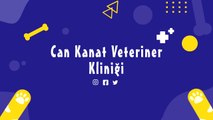 DIRECTOR / Yönetmen: Eren Taylan Can Kanat Veteriner Kliniği Viral Marketing