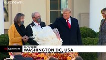 ویدئو؛ برگزاری مراسم عفو بوقلمون در کاخ سفید با حضور دونالد ترامپ