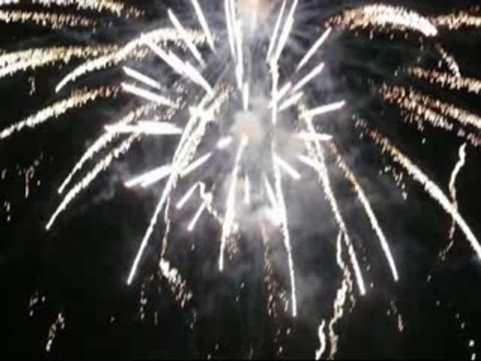 Feu d'artifice menton