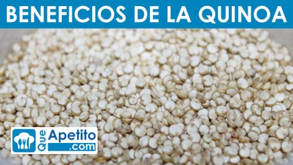 8 Propiedades y Beneficios de la Quinoa | QueApetito