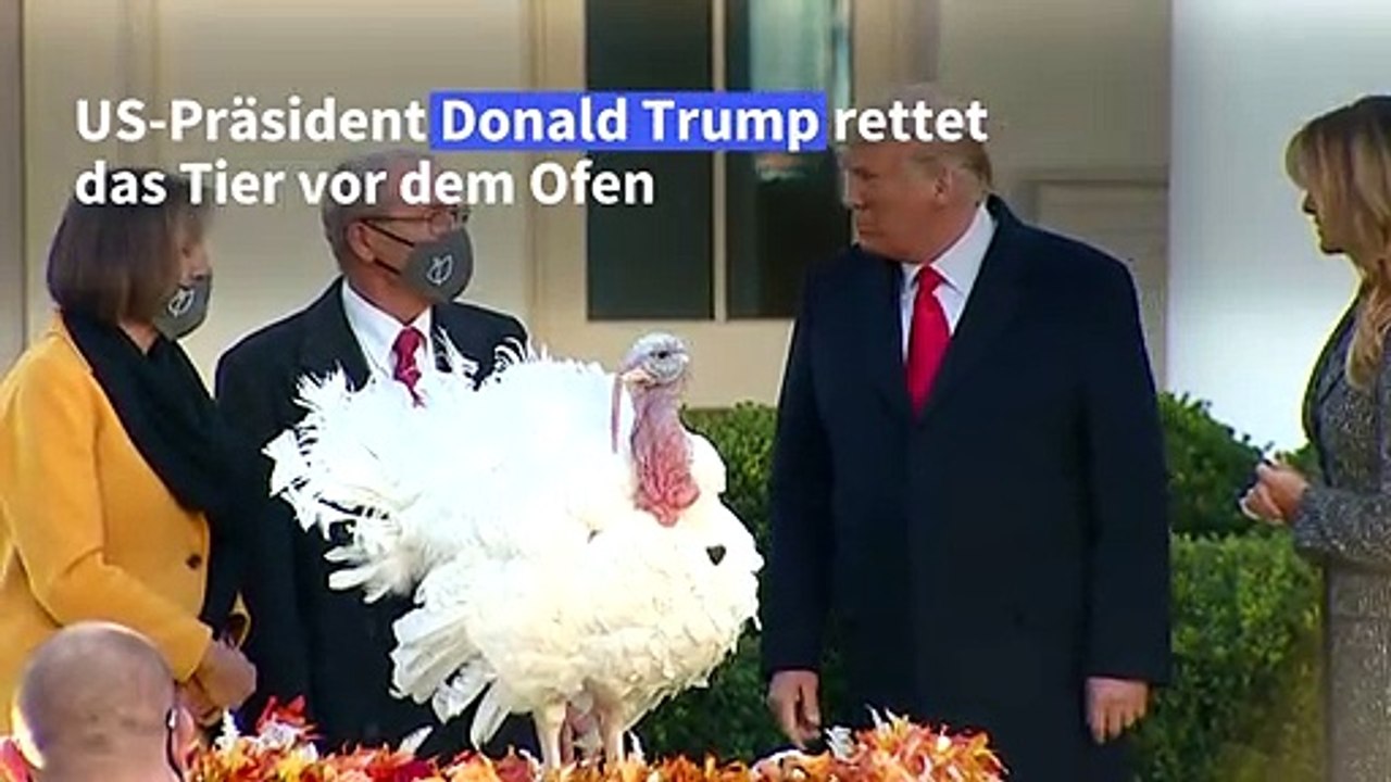 Trump begnadigt Truthahn