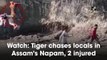 Watch: Tiger chases locals in Assam’s Napam, 2 injured