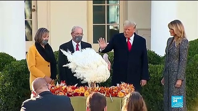 Coronavirus pandemic: Officials urge Americans to stay home for Thanksgiving