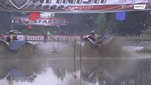 Farmers race 'Iron Buffalos' in muddy rice paddy competition