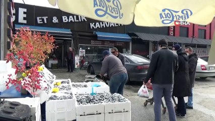 Düzceli Balıkçı Yaptığı Kampanya İle Hamsiyi 5 TL'den Satışa Sundu