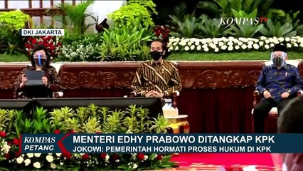 Beda Aturan Ekspor Benih Lobster Era Edhy Prabowo dan Susi Pudjiastuti