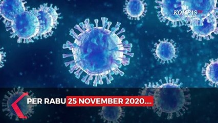 Data Covid-19 Kota Malang 25 November 2020