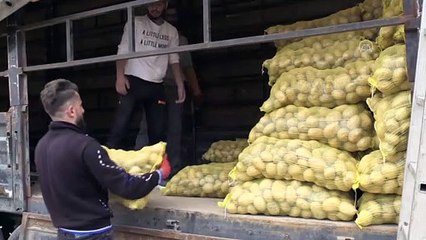 ŞANLIURFA - İdlib'e 2 tır insani yardım gönderildi