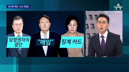 징계위서 ‘윤석열 해임’ 결정 시…법정 다툼 불가피