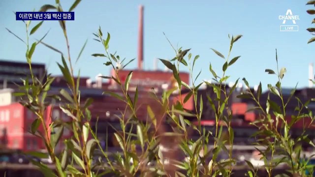 ‘국내 도입 1호 백신’ 아스트라제네카, 빠르면 3월 접종