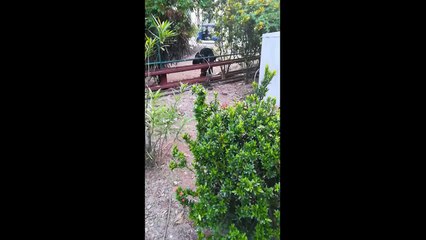 මත් පෙති බිව්වම වෙන දේ - බොරැල්ලේ දී මත් පෙති බිව්ව තරුණයෙකුගේ අමුතු හැසිරීම | Sinhala TV | 03