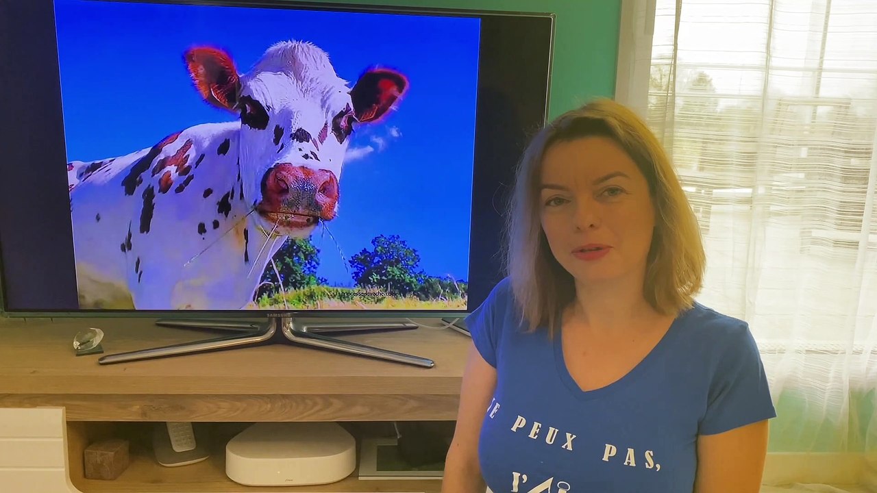 Groupement A&I Normandie - Challenge des Groupements 2020