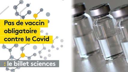 Le vaccin contre le Covid ne sera pas obligatoire : Emmanuel Macron parie sur l'incitation, comme pour la grippe
