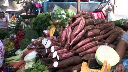 Precio del arroz se mantiene en los mercados capitalinos