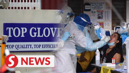 Top Glove is biggest contributor of cases in a single day, says Ismail Sabri
