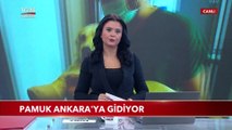 Patileri Kesilen Pamuk İsimli Köpek Ankara'ya Gidiyor