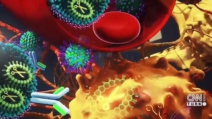 Bilim insanları kanserli fareleri tedavi etti | Video