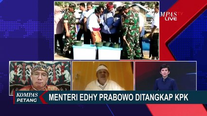 Komisi IV DPR: Ekspor Benih Lobster Cermin Kemiskinan, Negara Kompetitor Diuntungkan