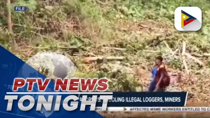 #PTVNewsTonight | Palace warns mayors vs. coddling illegal loggers, miners