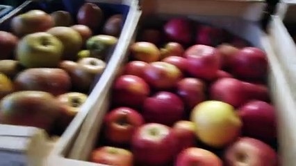 Mois de l'ESS 2020 : rencontre avec "Label Epicerie" - Novembre 2020