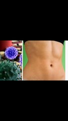 Té para desintoxicar y quemar grasa abdominal