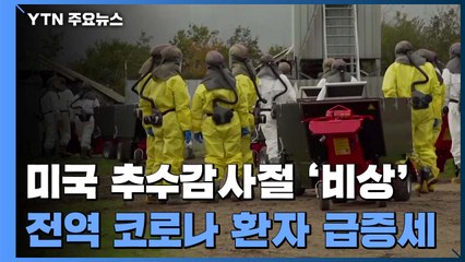 美 코로나19 확산세 여전...밍크 농장에서 집단 발병 / YTN