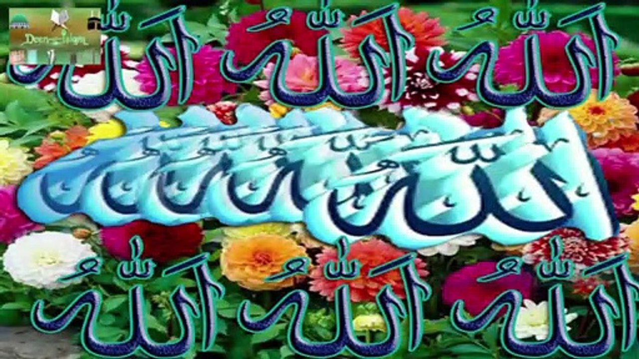 nadan ko is baat ka bilkul nahi pata وتعز من تشاء