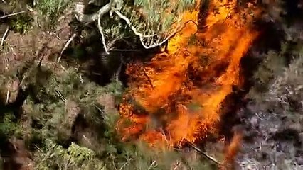 Watch and act alert issued for Northmead, Western Sydney