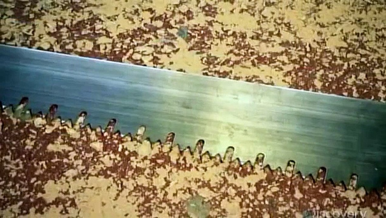 How Its Made - 740 Crosscut Saws
