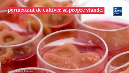 Des scientifiques créent de la viande humaine à cultiver grâce à un kit