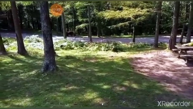 مقطع رائع جدا اسرار الخشوع في الصلاة