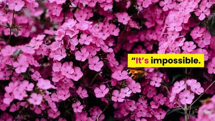 Putin won’t take Russia’s COVID 19 vaccine despite claims of 90%