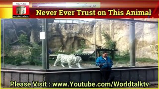 Never Ever Trust on such type of Animals
