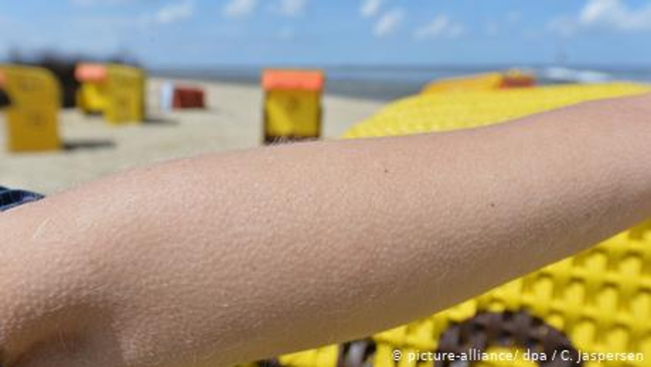 Warum bekommen wir manchmal Gänsehaut beim Musikhören?