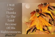 Happy Thanksgiving 2020 | Thanksgiving wishes | Happy Thanksgiving whatsapp status 2020