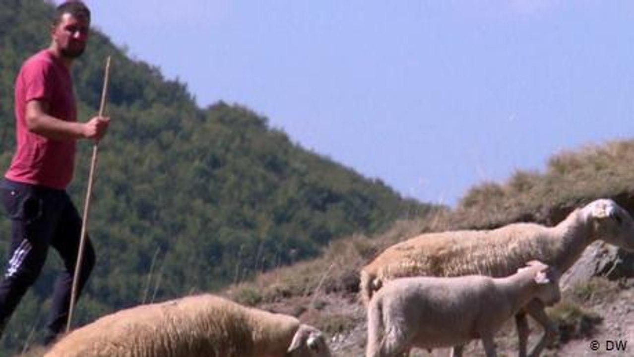 Albania: Mountains and migration