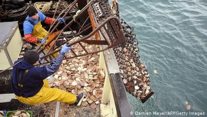 French fishermen fear for post-Brexit future