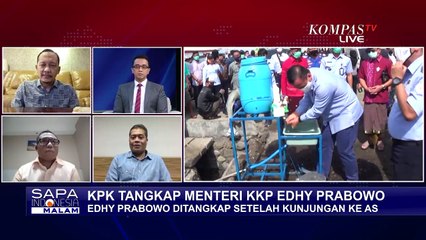 Ekspor Janggal Benih Lobster di Indonesia