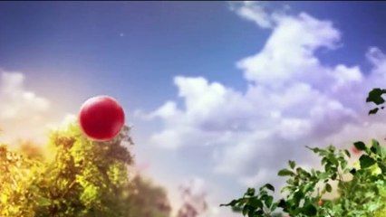 Tempesta d'amore - 23 novembre 2020