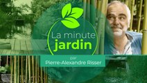 Jardinières fleuries pour l'hiver : 2 compositions phares pour le balcon