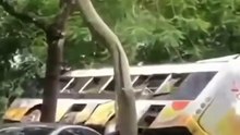 Guangzhou bus falls from viaduct: accident caused no injuries