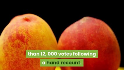 Trump campaign files petition for Georgia recount