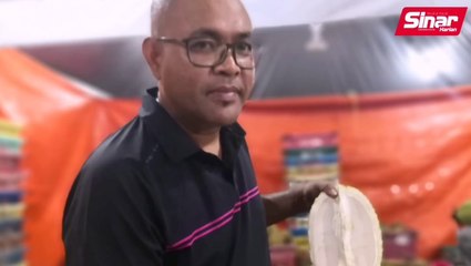 Kontraktor jual durian harga rendah