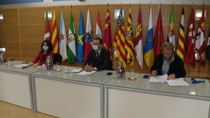 Reunión del Consejo Interterritorial del Sistema Nacional de Salud