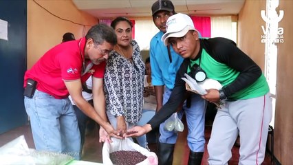 Download Video: Productores de Nueva Guinea reciben semilla mejorada de frijol