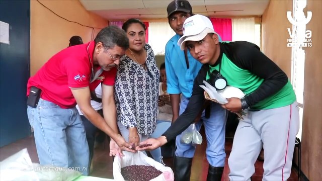 Productores de Nueva Guinea reciben semilla mejorada de frijol