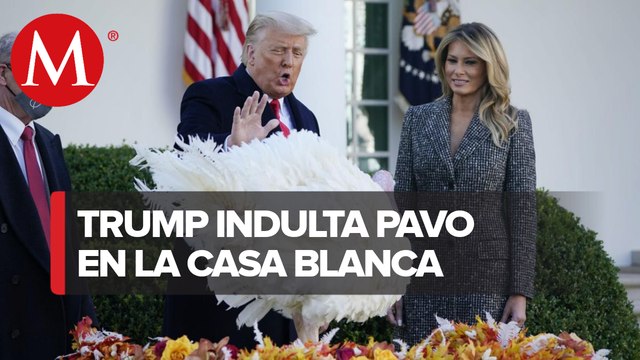 Trump indulta en la Casa Blanca a su último pavo del Día de Acción de Gracias